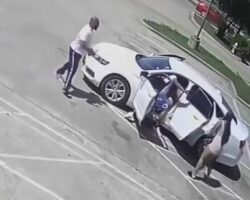Illegal migrant shot dead while attempting carjacking