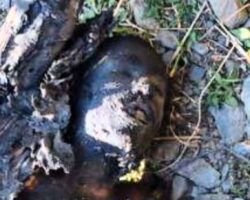 Indian army eliminated militants in Kishtwar area