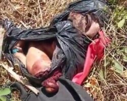 Italian biologist found dismembered in Colombia
