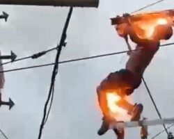 Mentally ill man climbed electrical pole and touched live wires