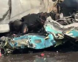 Oliver Tree and five others died in two-helicopter collision
