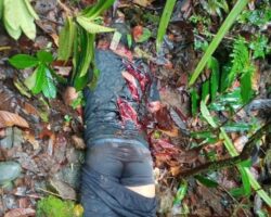 Papuan separatists massacred 8 gold miners