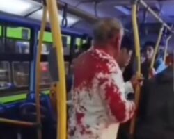 Passenger shot in abdomen during armed bus robbery