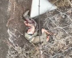 Russian soldier can’t escape Ukrainian drone #3