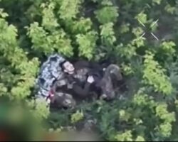 Russian soldier commits suicide on battlefield #6
