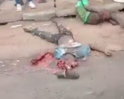Seven people lost their lives in container truck accident