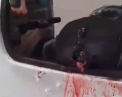 Tuk-tuk driver murdered in Lima, Peru