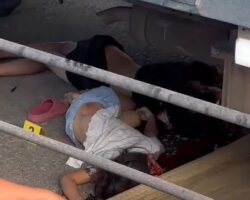 Two Vietnamese girls killed by reversing truck