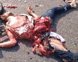 Two men on motorcycle died in collision with truck