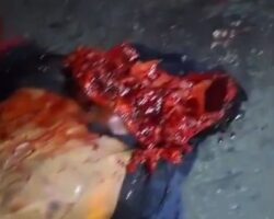 Two people lost their lives in tragic traffic accident in Ecuador