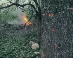 Ukrainian soldier kills Russian hiding in dugout with grenade