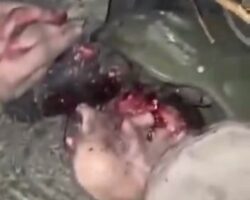 Ukrainian soldier shows trench cleared of Russian enemy