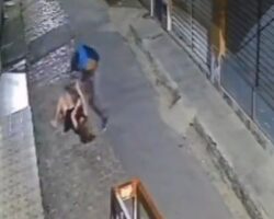 Woman fatally stabbed by her ex-partner