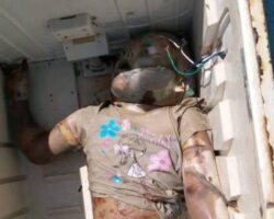Young woman found dead in advanced stage of decomposition