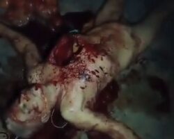 65-year-old man murdered and disemboweled