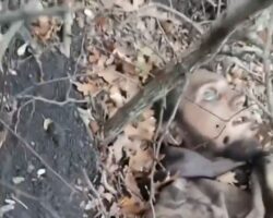Aftermath of Ukrainian assault on russian defensive positions