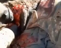 Azerbaijani troops cut off ears of dead Armenian soldier