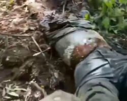 Body of Russian soldier found in advanced state of decomposition