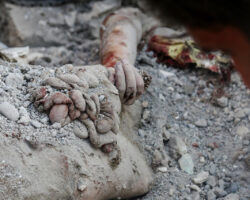 Bombing of Minab school and death of dozens children