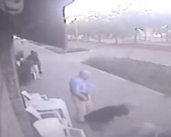 Brutal stabbing in streets of Milan, Italy