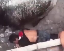Bull fatally gores man