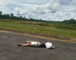 Crew of small transport plane murdered by Papuan separatists