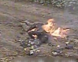 Dead body of Russian soldier burning after drone strike #2