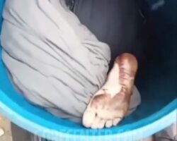 Decomposing body found inside plastic barrel