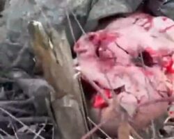 Explosion killed two Russian soldiers