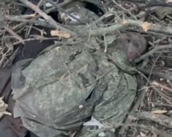 Fallen Russian soldier on battlefield #9