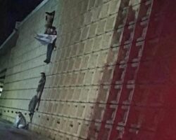 Five dead bodies found hanging from bridge