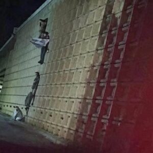 Five dead bodies found hanging from bridge