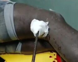 Haitian worker impaled on several iron rods
