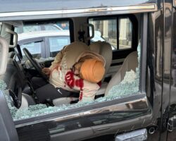 Indian politician assassinated in his car