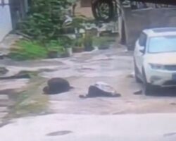 Man on phone injured after being struck by suicide jumper