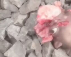Man puts his head on tracks in front of oncoming train