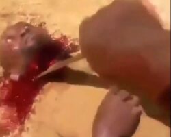 Nigerian man killed by group armed with machetes