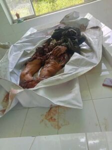 Pedestrian crushed to death by truck
