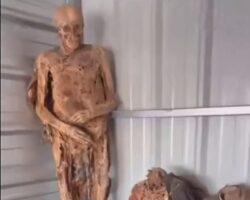 Pennsylvania man robbed graves and kept remains at home
