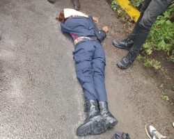 Pickup truck and heavy truck collision leaves two dead