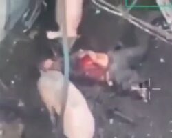 Pigs feeding on body of Russian soldier