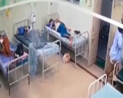 Psychiatric hospital patient hangs himself in shared room