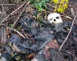Remains of Russian soldier found on battlefield