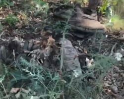 Remains of fallen Russian soldier discovered on battlefield