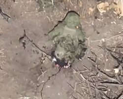 Russian soldier blown apart by drone strike #6