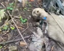 Russian soldier found in advanced state of decomposition