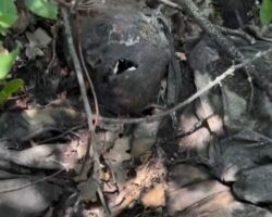 Russian soldier found in mummified state