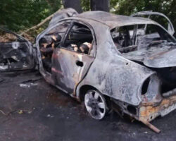 Six people burned alive after car crashes into tree