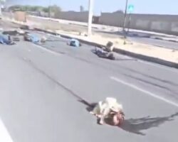 Street littered with bodies after Israeli bombing of Gaza