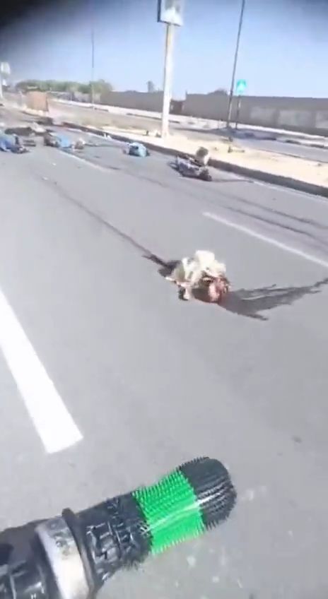 Street littered with bodies after Israeli bombing of Gaza • GoreCenter